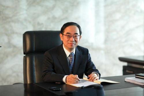 新富豪 永久在线视频