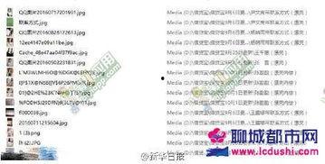 裸货款在线视频,在线视频带你深入了解虚拟货币交易